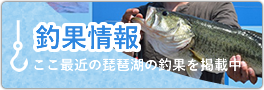 釣果情報