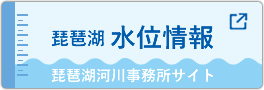 琵琶湖水位情報